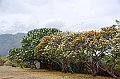 040_Tahiti