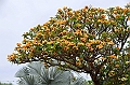 041_Tahiti