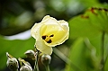 059_Tahiti