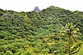 080_Tahiti
