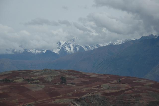 232_Peru.JPG