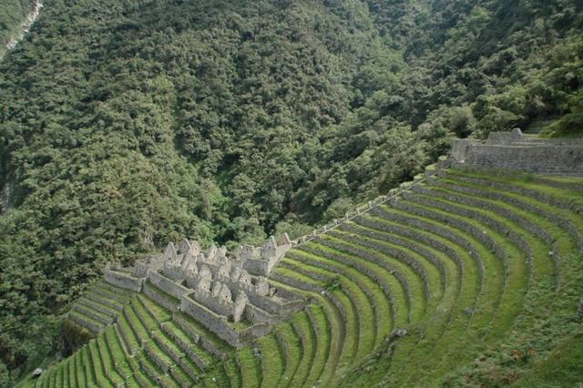 296_Peru_Inkatrail_Winaywayna.JPG