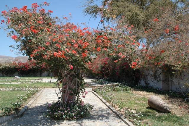 034_Peru_Maria_Reiche_Museum.JPG