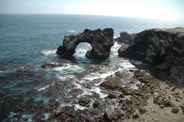 091_Peru_Playa_La_Aguada_Seeloewen.JPG
