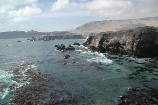 094_Peru_Playa_La_Aguada_Seeloewen.JPG