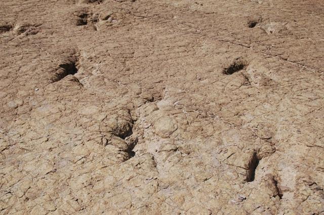 120_Peru_Dinosaurierspuren.JPG