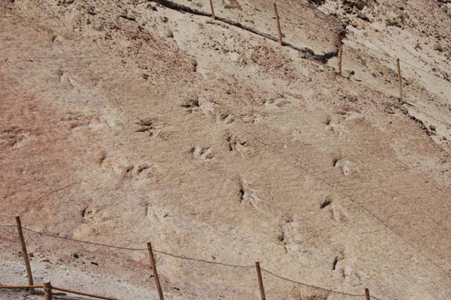 121_Peru_Dinosaurierspuren.JPG