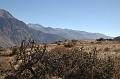134_Peru_Colca_Tal_Cruz_del_Condor