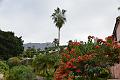 091_Kanaren_Teneriffa_La_Orotava