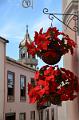 093_Kanaren_Teneriffa_La_Orotava