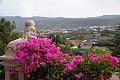 107_Kanaren_Teneriffa