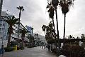 111_Kanaren_Teneriffa_Puerto_de_la_Cruz