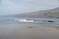 117_Kanaren_Teneriffa_Puerto_de_la_Cruz