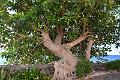 161_Kanaren_La_Gomera_Playa_de_la_Calera