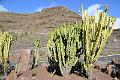 168_Kanaren_La_Gomera