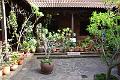 175_Kanaren_La_Gomera_Garajonay_Nationalpark