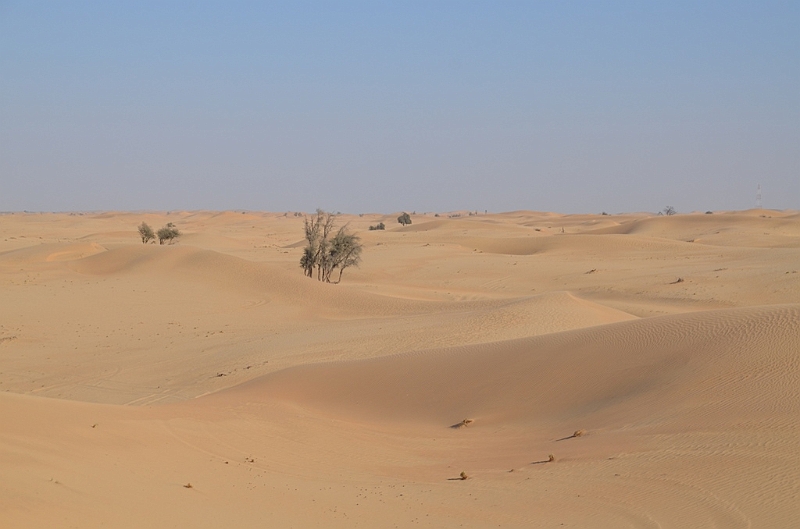 060_Abu_Dhabi_Jeep_Safari.JPG