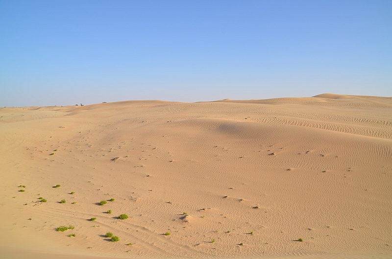 065_Abu_Dhabi_Jeep_Safari.JPG