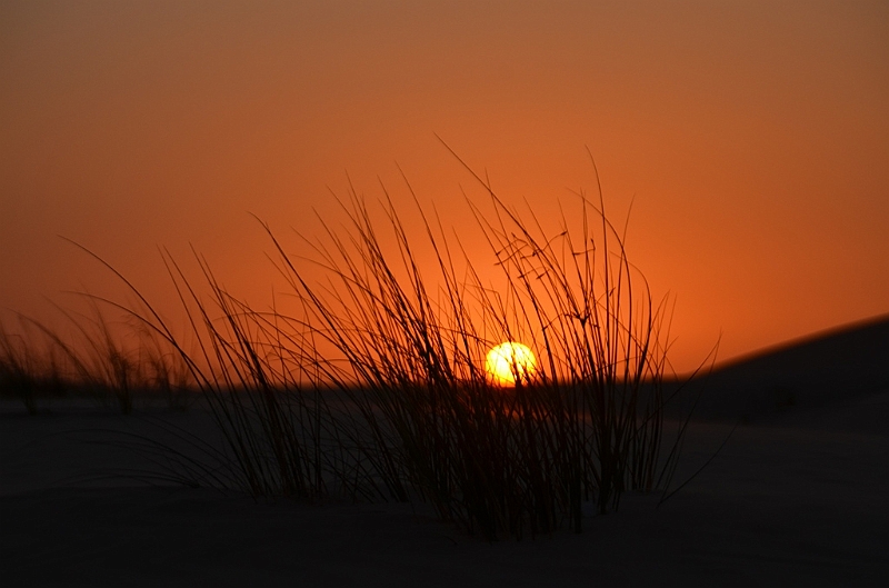 097_Abu_Dhabi_Jeep_Safari_Sunset.JPG