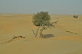 067_Abu_Dhabi_Jeep_Safari
