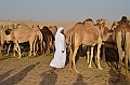 078_Abu_Dhabi_Jeep_Safari