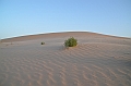 089_Abu_Dhabi_Jeep_Safari