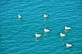 166_Abu_Dhabi