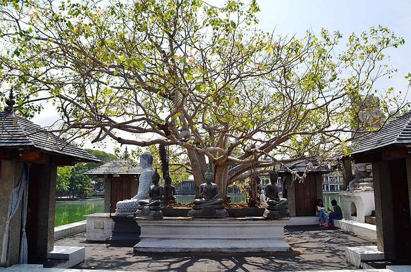 032_Sri_Lanka_Colombo_Seema_Malakaya_Meditation_Centre.JPG