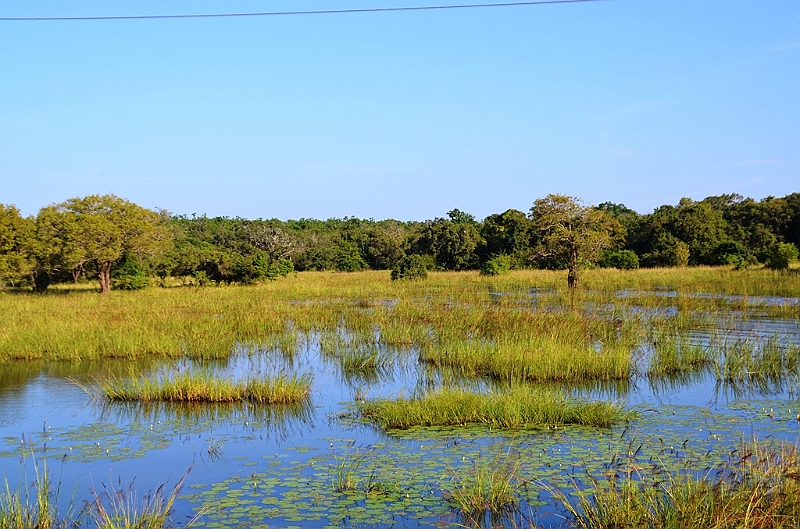 063_Sri_Lanka.JPG