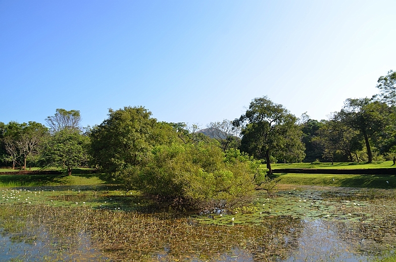 071_Sri_Lanka.JPG