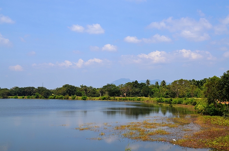 102_Sri_Lanka_Giritale.JPG