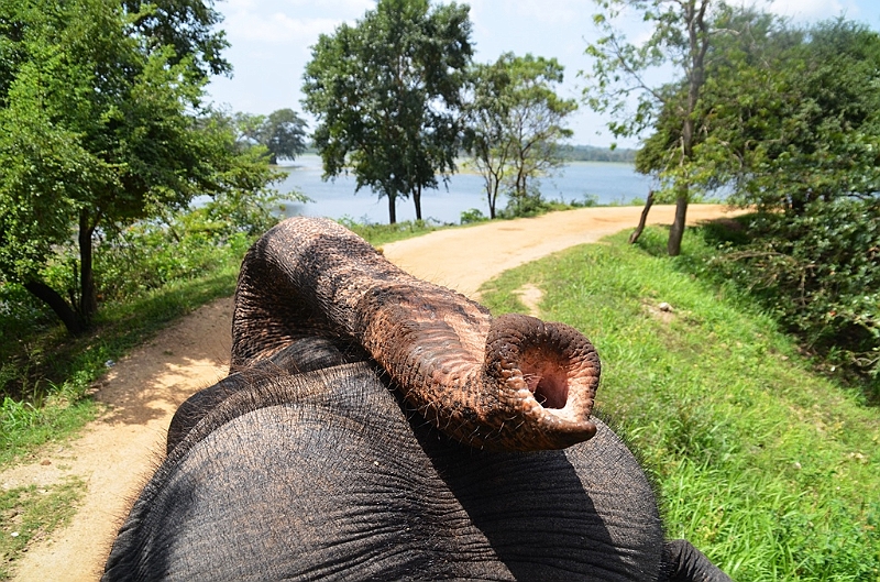 104_Sri_Lanka_Giritale.JPG