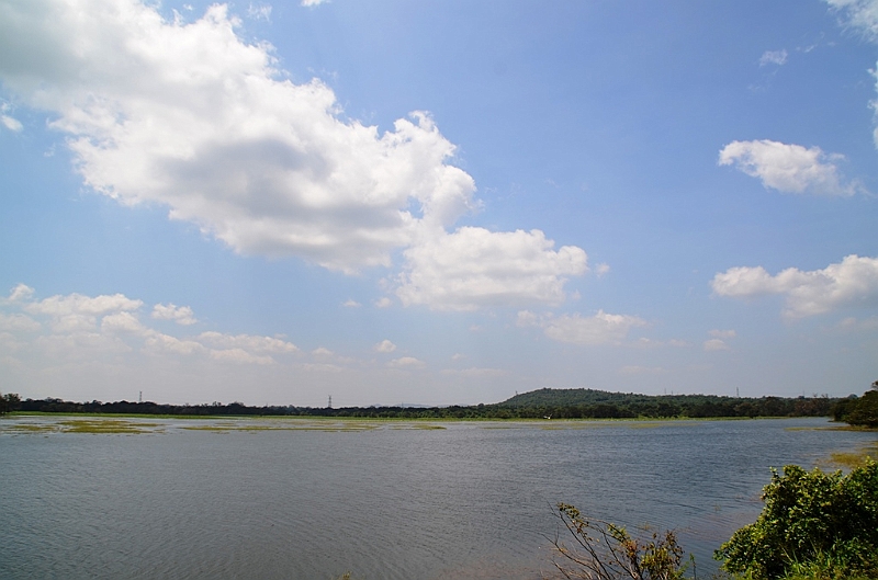 106_Sri_Lanka_Giritale.JPG