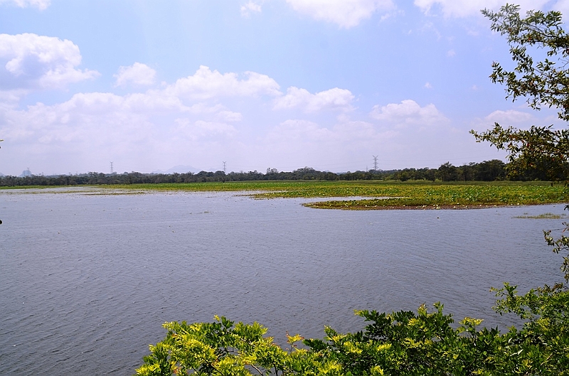110_Sri_Lanka_Giritale.JPG