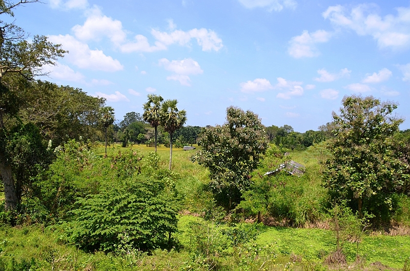 112_Sri_Lanka_Giritale.JPG