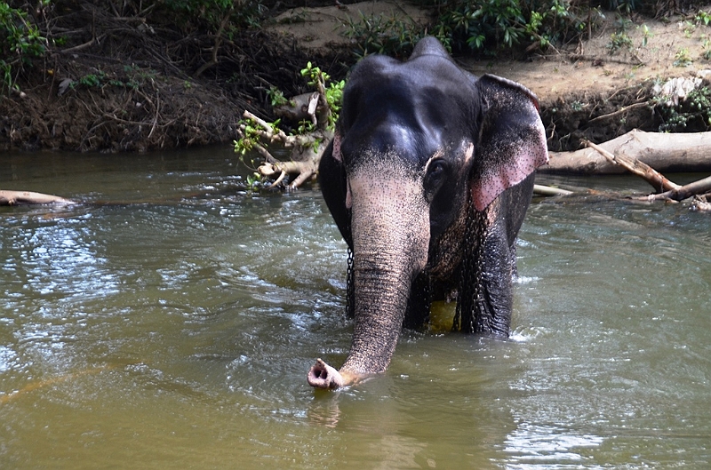130_Sri_Lanka_Giritale.JPG