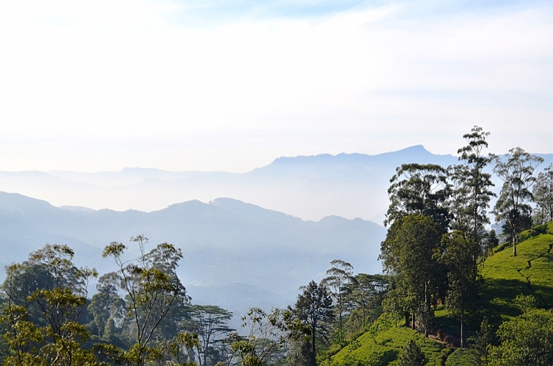 249_Sri_Lanka_Knuckles.JPG