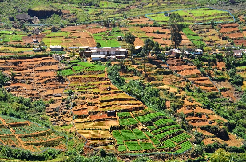 373_Sri_Lanka.JPG