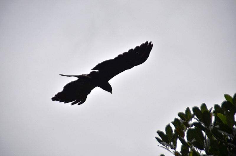 416_Sri_Lanka.JPG