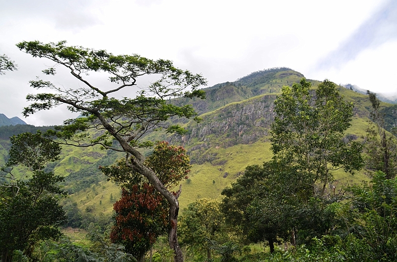 420_Sri_Lanka.JPG