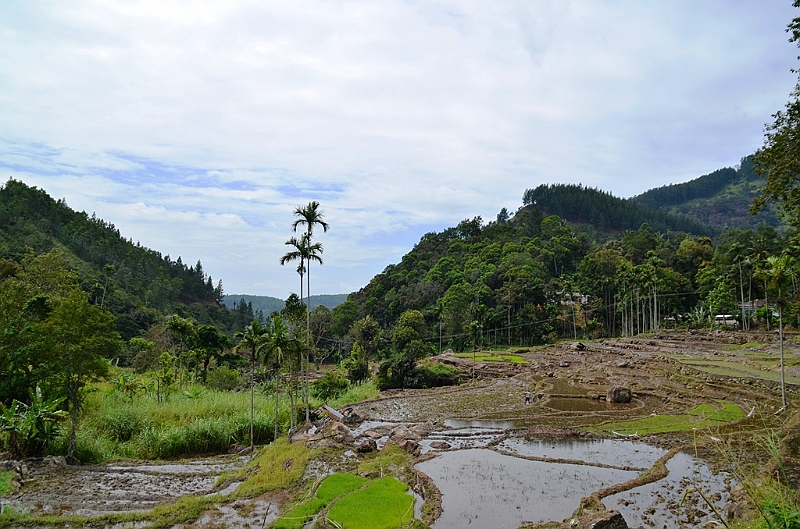 425_Sri_Lanka.JPG