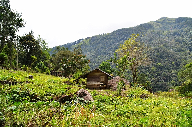 437_Sri_Lanka.JPG