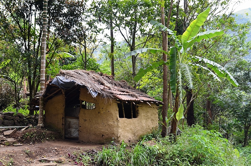 438_Sri_Lanka.JPG
