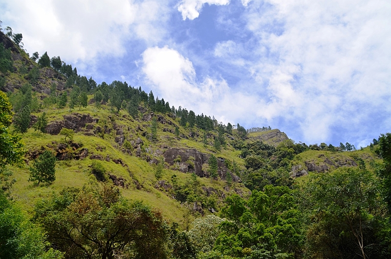441_Sri_Lanka.JPG