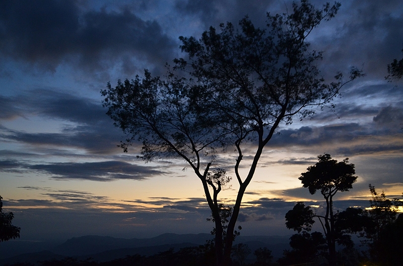 443_Sri_Lanka.JPG