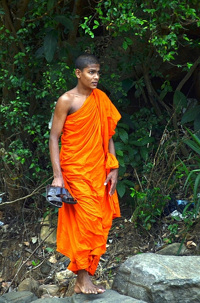 448_Sri_Lanka.JPG