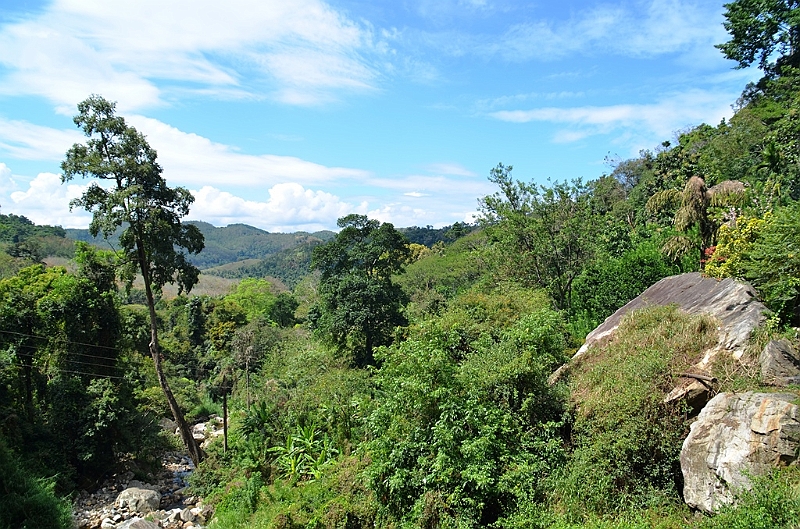 450_Sri_Lanka.JPG