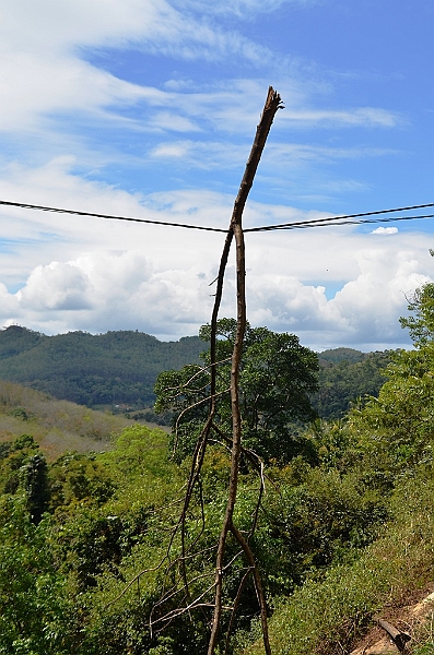 453_Sri_Lanka.JPG