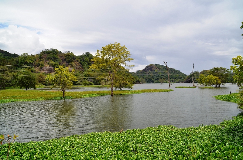 457_Sri_Lanka.JPG