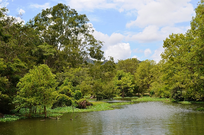 458_Sri_Lanka.JPG